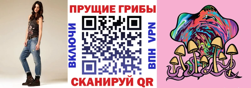 Псилоцибиновые грибы Cubensis  Купить закладки  Киселёвск 